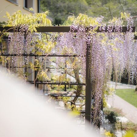 Agriturismo La Valle Di Vico คาปราโรลา ภายนอก รูปภาพ