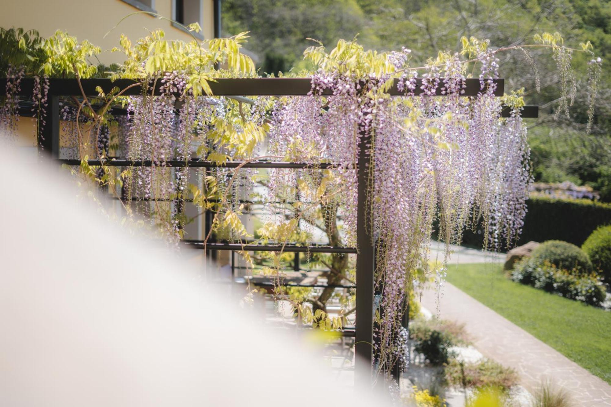 Agriturismo La Valle Di Vico คาปราโรลา ภายนอก รูปภาพ