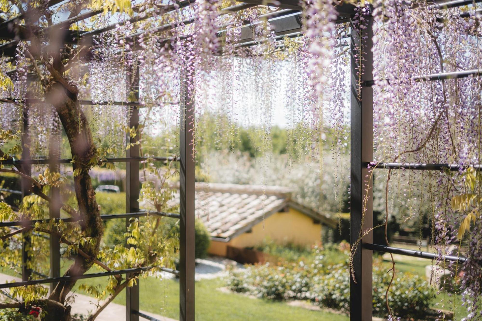 Agriturismo La Valle Di Vico คาปราโรลา ภายนอก รูปภาพ