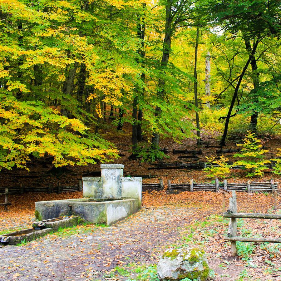 Agriturismo La Valle Di Vico คาปราโรลา ภายนอก รูปภาพ